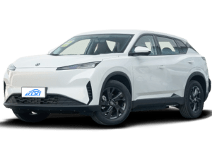 DONGFENG SKY-EVO1