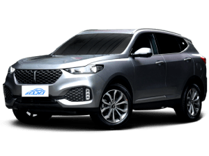 WEY VV6