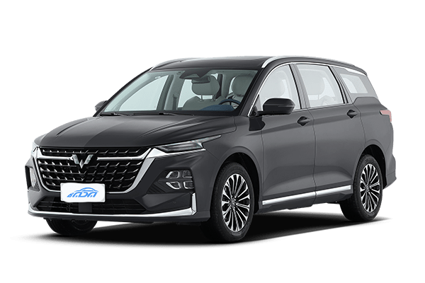 WULING Victory