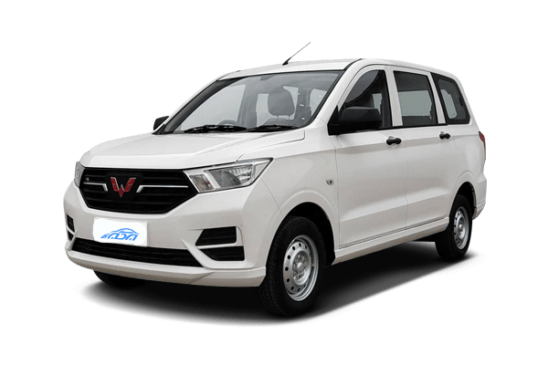 WULING Hongguang S-EV