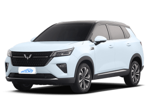 WULING Starlight
