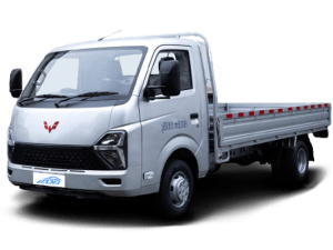 WULING Dragon T