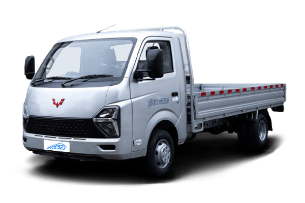 WULING Dragon T