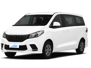 MAXUS G10