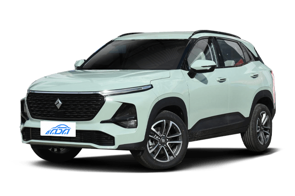 BAOJUN RS-3