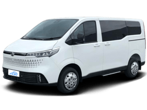 MAXUS NEWPATH V70