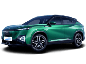 DONGFENG Aeolus Vast